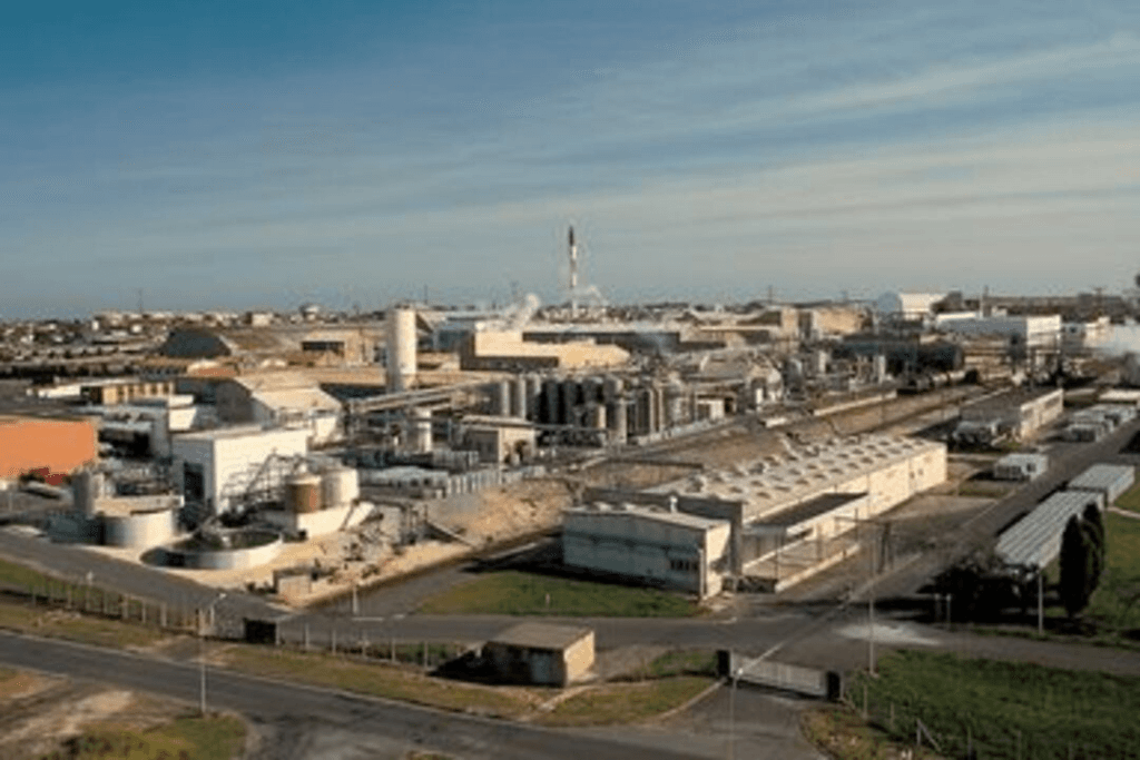 La Rochelle : Rhodia ouvre la consultation publique pour sa future chaufferie biomasse