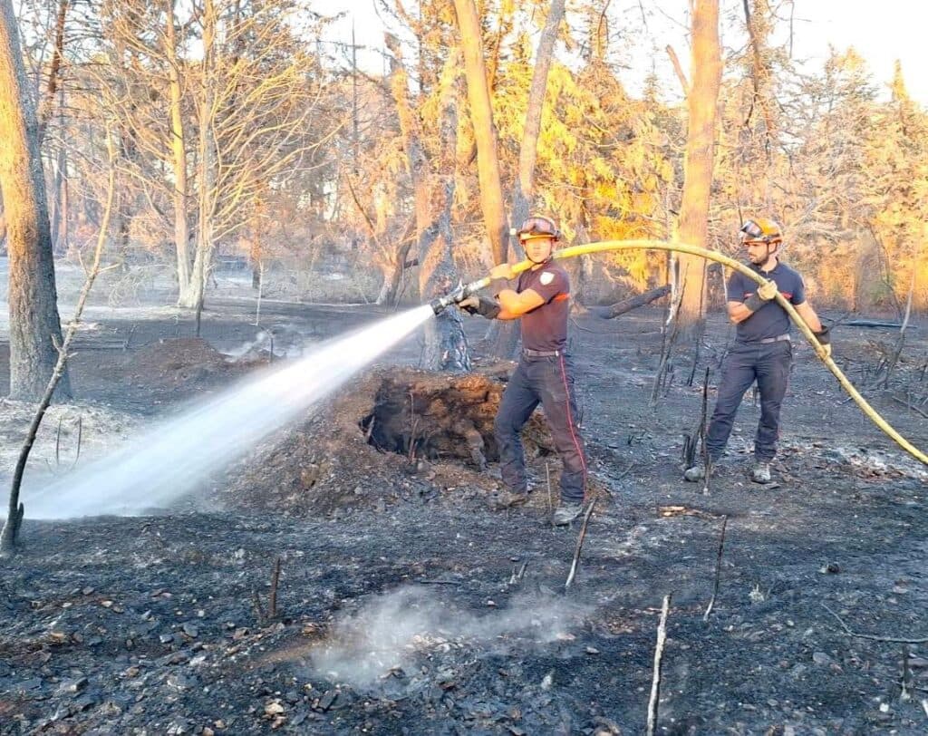 Montlieu : 3,5 hectares de pins ravagés par un incendie, une cinquantaine de pompiers mobilisés
